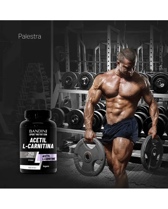 Acetil L-Carnitina - 250 Capsule
